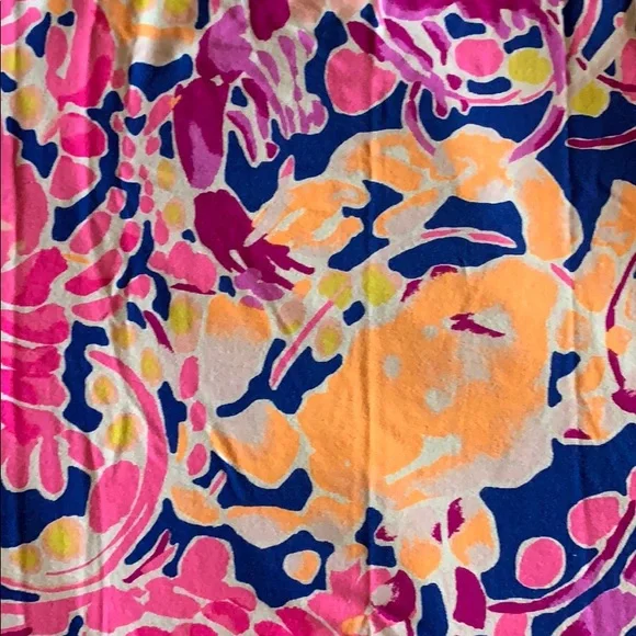 Lilly Pulitzer Sophie Dress “catch and release” - Picture 4 of 6